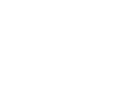 Web%20Forte%20Solution
